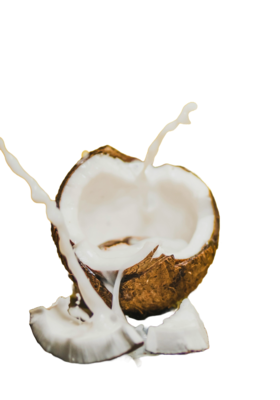 Fresh Coconut - Natural Ingredient for Healthy Snacks